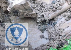 图们水管漏水检测公司5